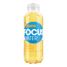  Focus Water Pineapple & Mango